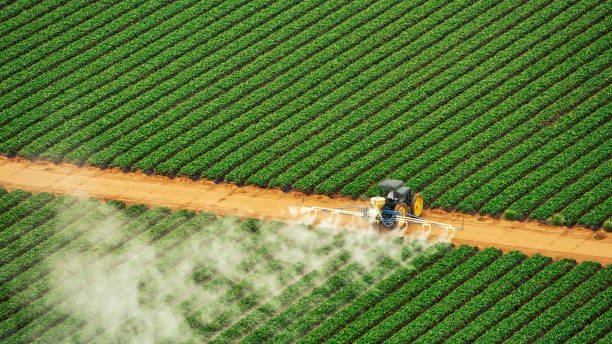 Best Pest Control Treatment  in USA